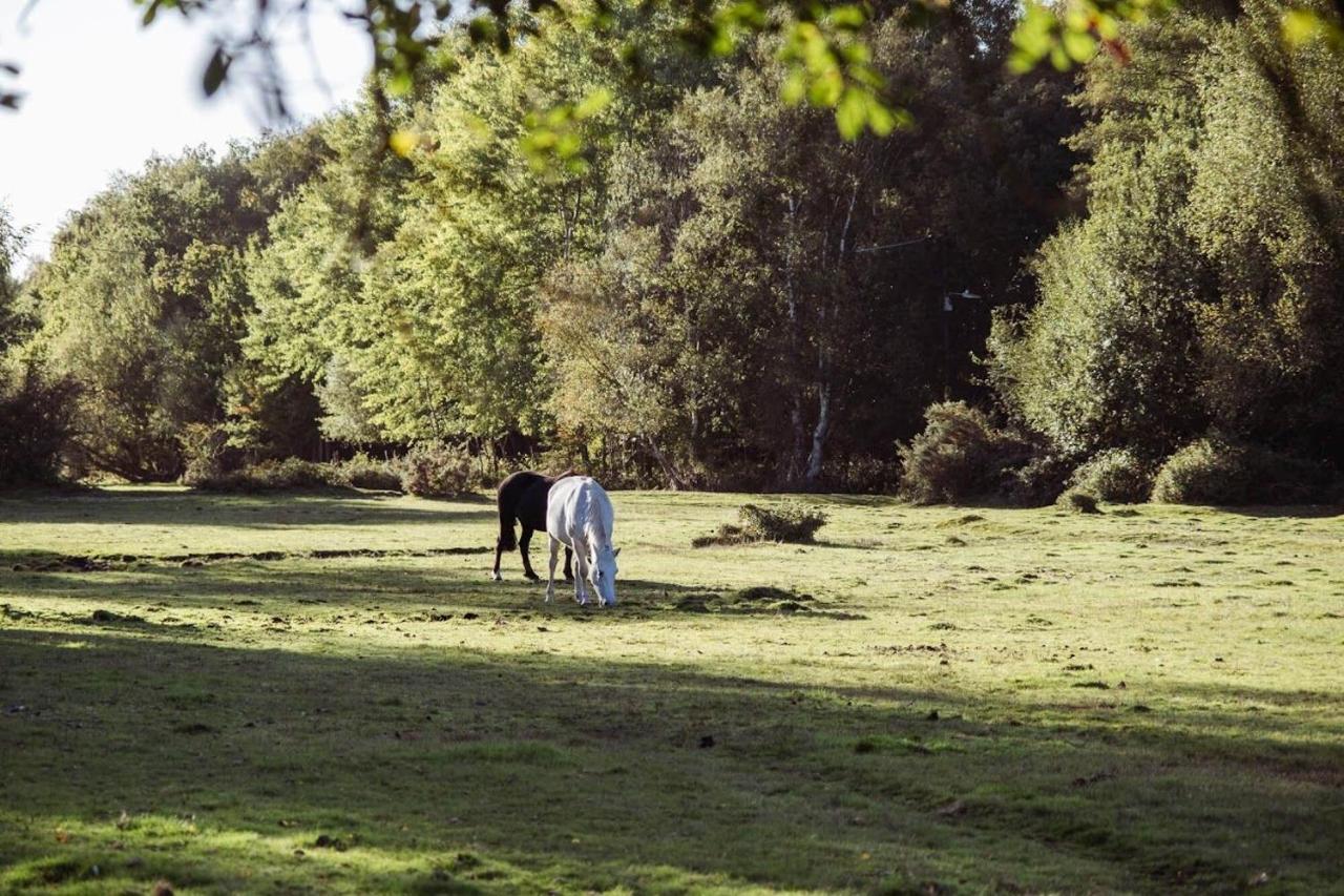 Surrey Lodge Brockenhurst Bagian luar foto