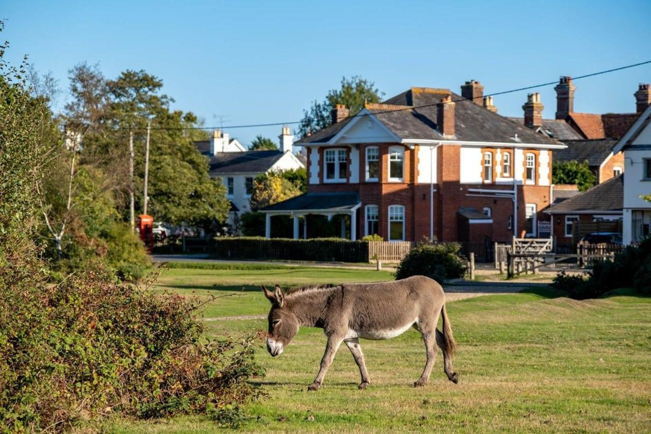 Surrey Lodge Brockenhurst Bagian luar foto