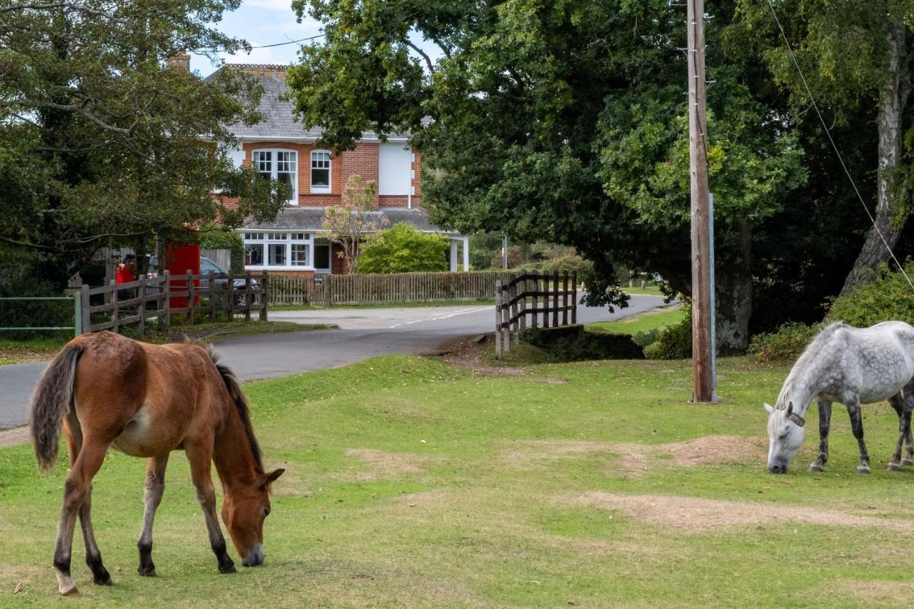 Surrey Lodge Brockenhurst Bagian luar foto